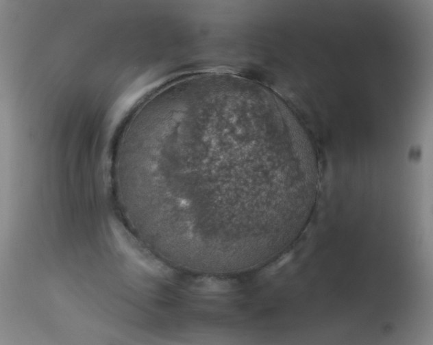 X0000114170343200910221656