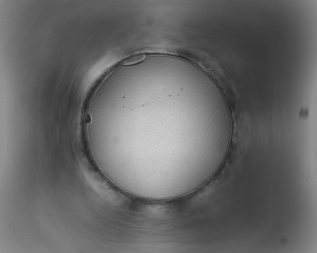 X0000114170344200910221656