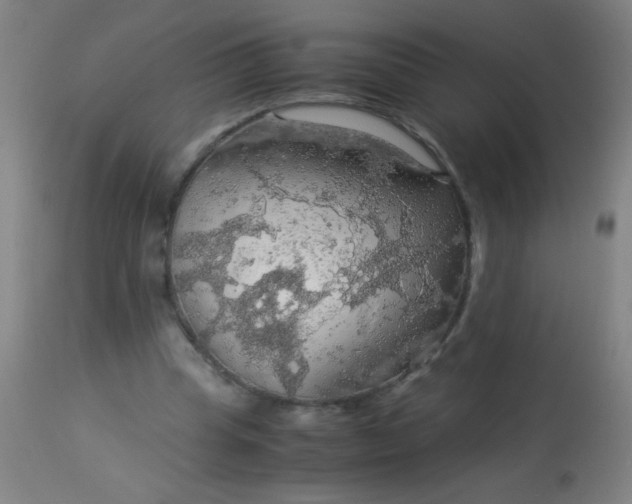 X0000114170345200910221656