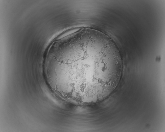 X0000114170346200910221656