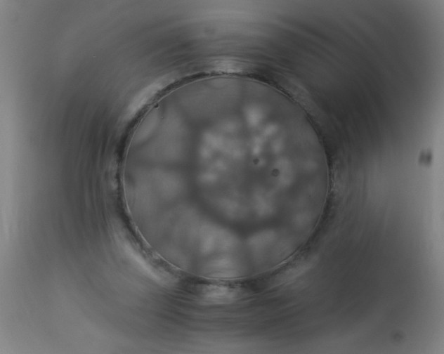 X0000114170347200910221656