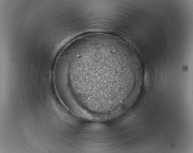 X0000114170348200910221656