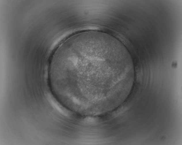 X0000114170350200910221656