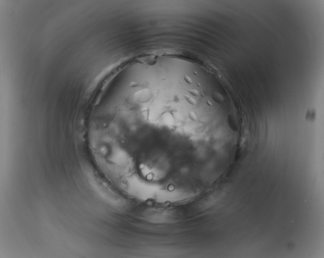 X0000114170351200910221656