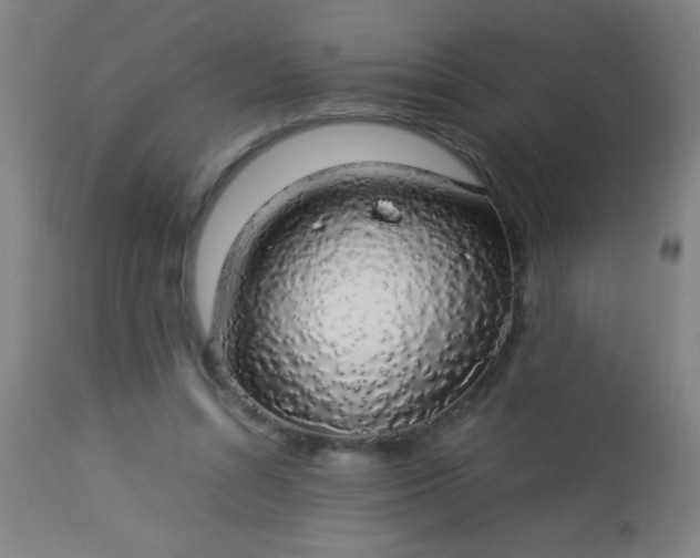 X0000114170352200910221656