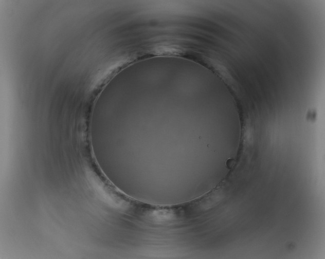 X0000114170353200910221656