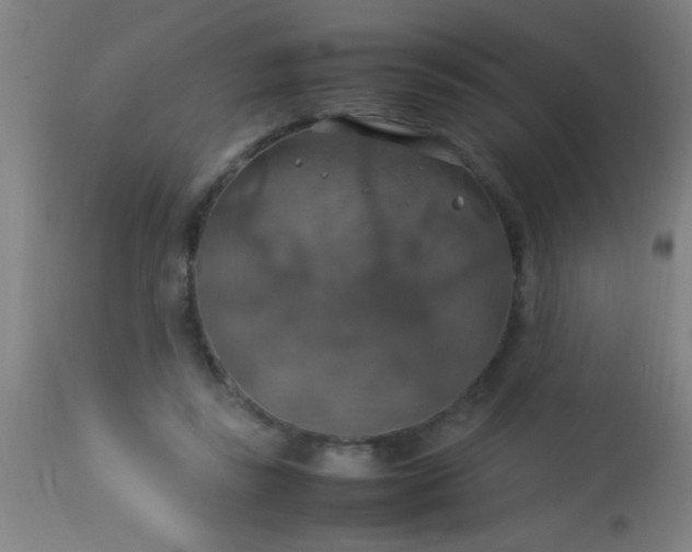 X0000114170355200910221656