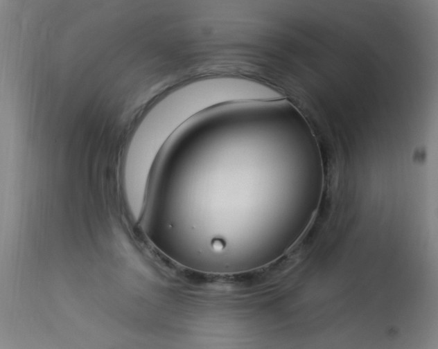 X0000114170356200910221656