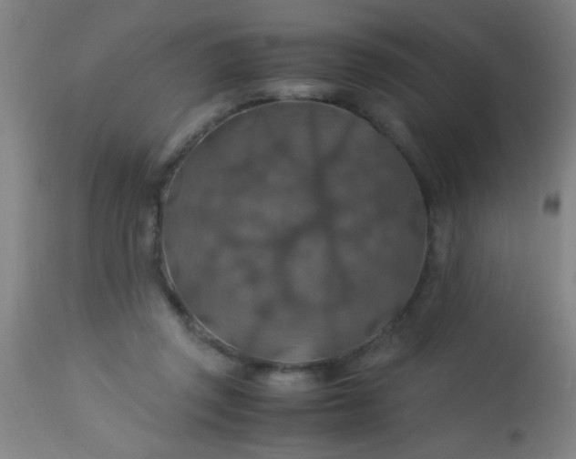 X0000114170357200910221656