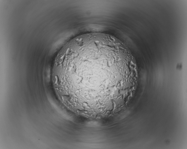 X0000114170358200910221656