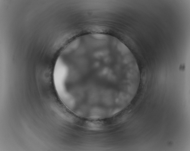 X0000114170359200910221656