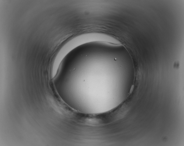 X0000114170360200910221656