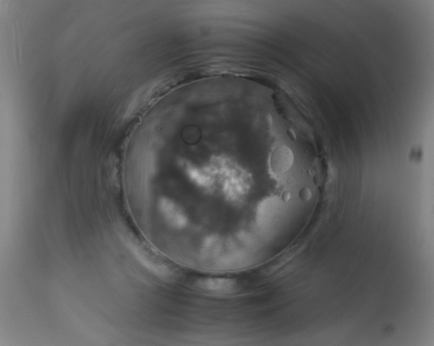 X0000114170361200910221656