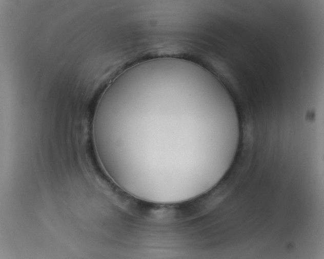 X0000114170362200910221656