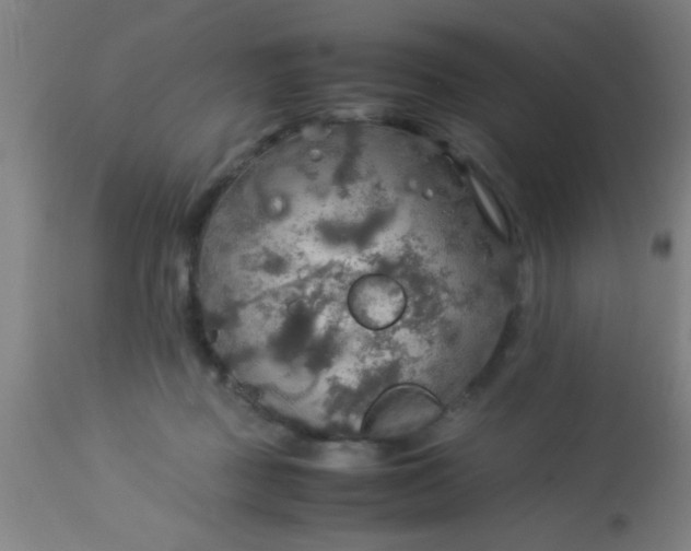 X0000114170363200910221656