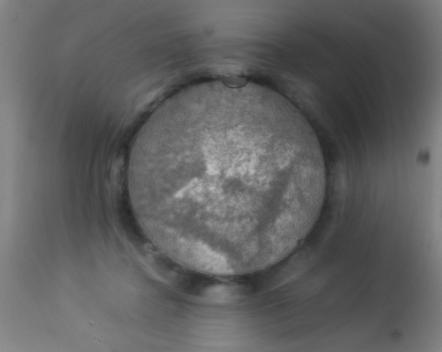 X0000114170364200910221656