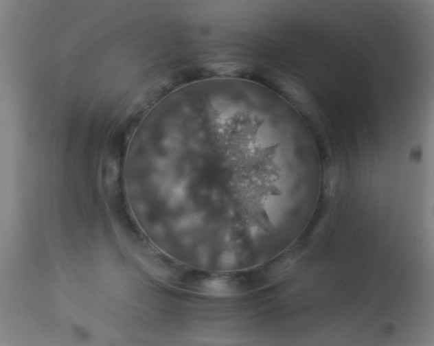 X0000114170365200910221656