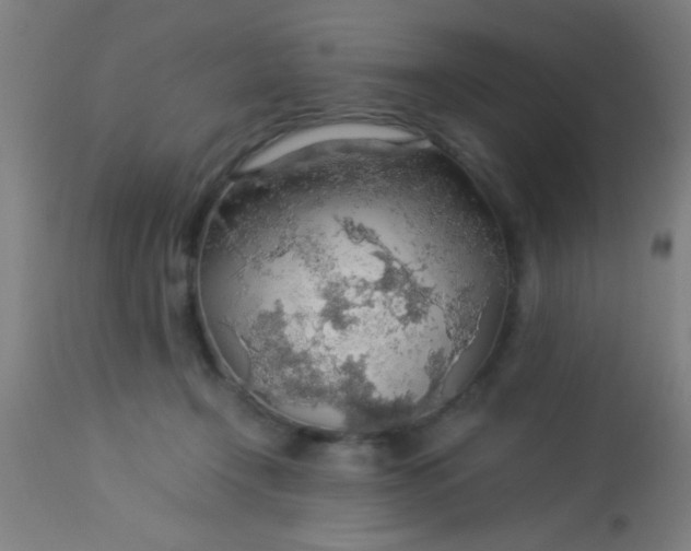 X0000114170366200910221656