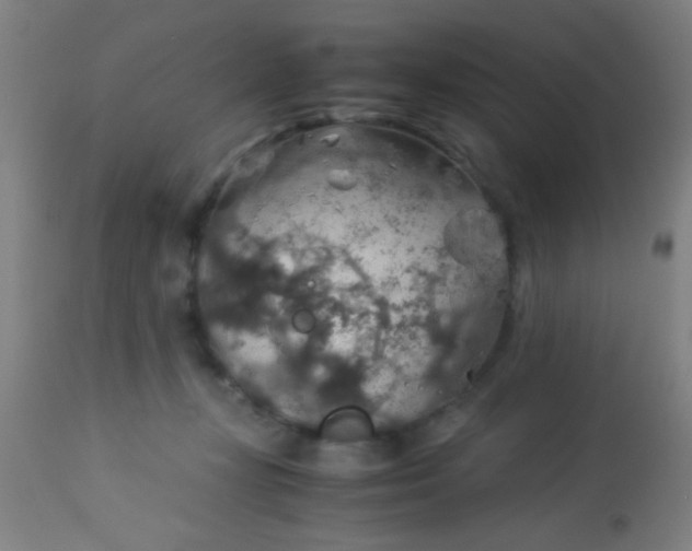 X0000114170367200910221656