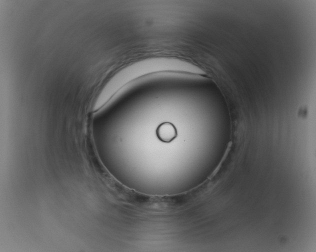 X0000114170368200910221656