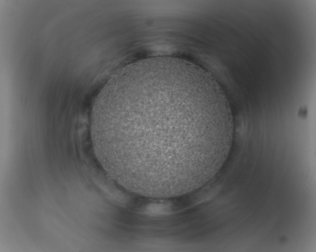 X0000114170369200910221656