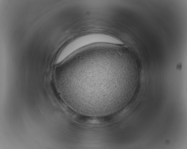 X0000114170370200910221656