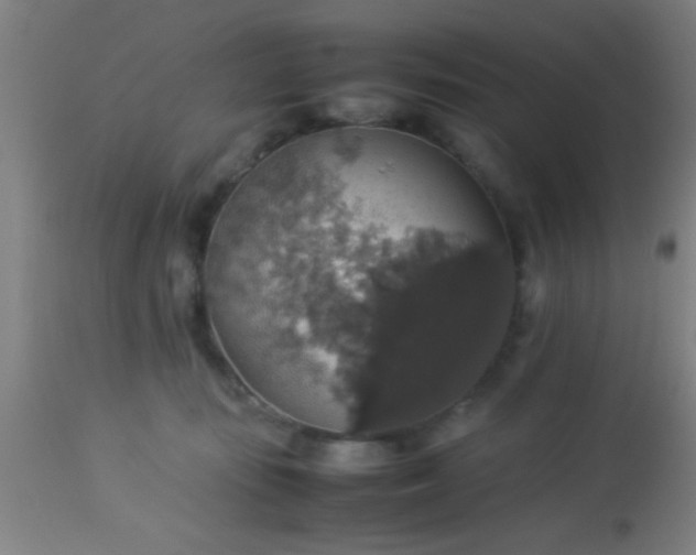 X0000114170371200910221656