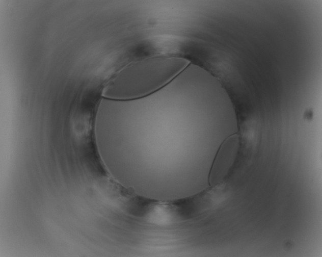 X0000114170372200910221656