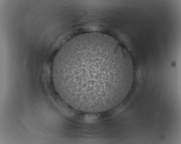 X0000114170373200910221656