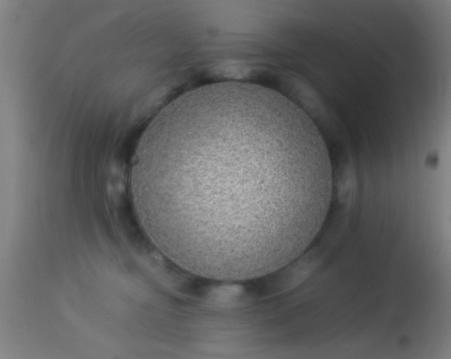 X0000114170374200910221656