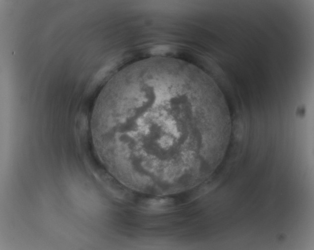 X0000114170375200910221656