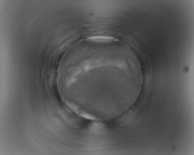 X0000114170376200910221656