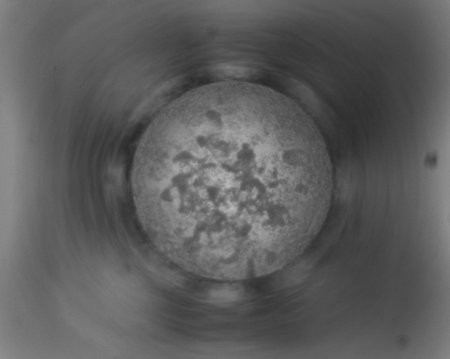 X0000114170377200910221656