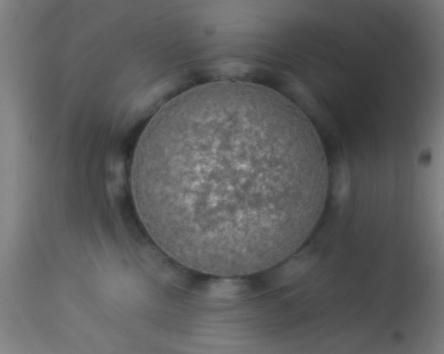 X0000114170378200910221656