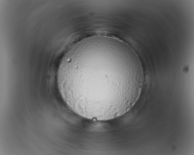 X0000114170379200910221656