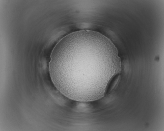 X0000114170380200910221656