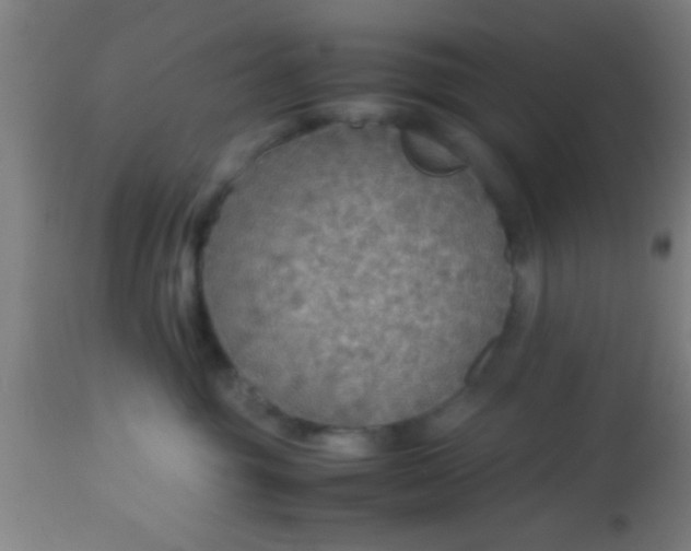 X0000114170381200910221656