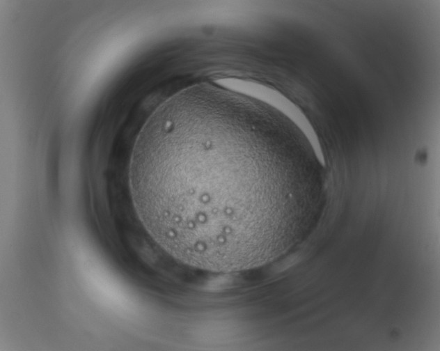 X0000114170382200910221656