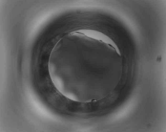 X0000114170383200910221656