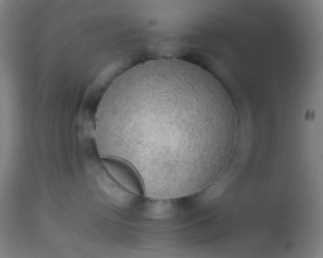 X0000114170384200910221656