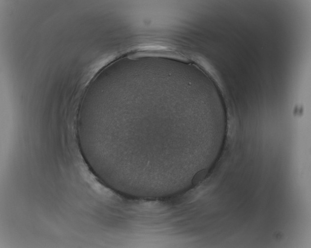 X0000114170385200910221656