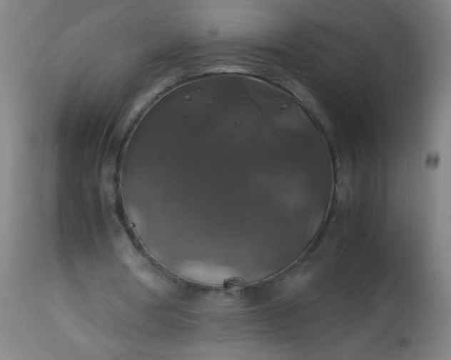 X0000114170386200910221656