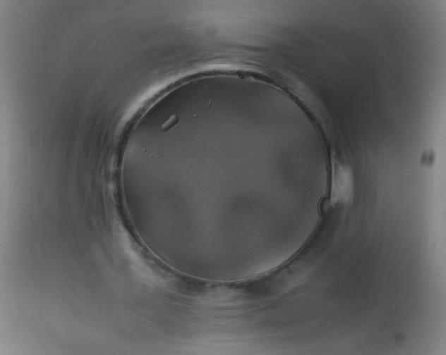 X0000114170387200910221656