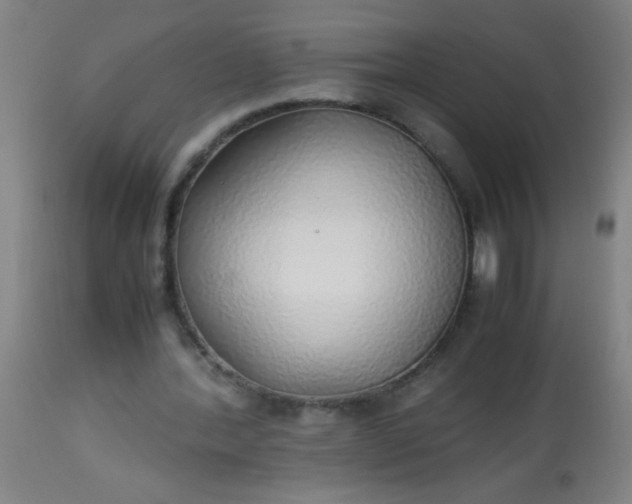 X0000114170388200910221655