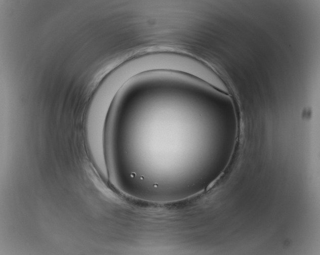 X0000114170389200910221655