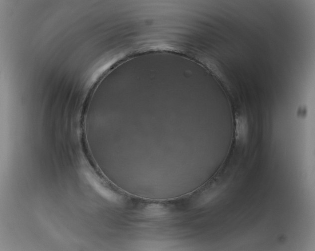 X0000114170390200910221655