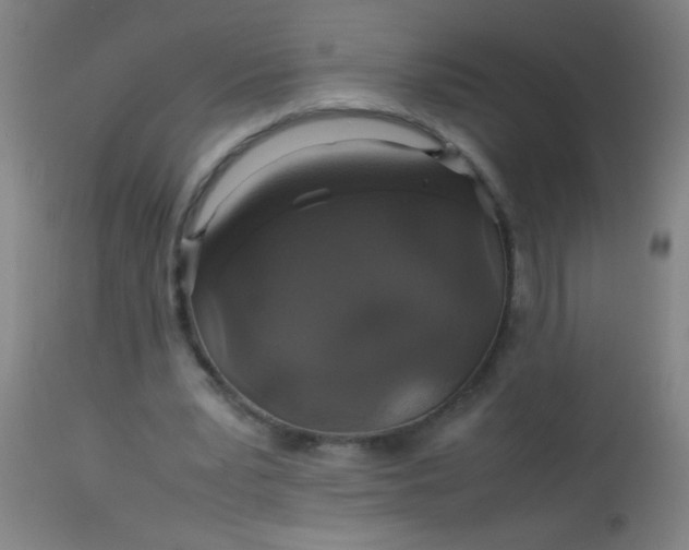 X0000114170391200910221655