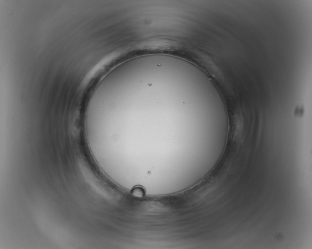 X0000114170392200910221655