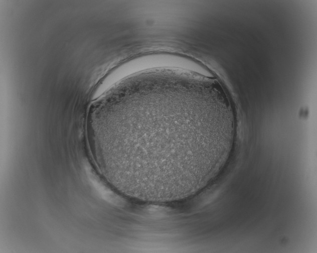 X0000114170393200910221655