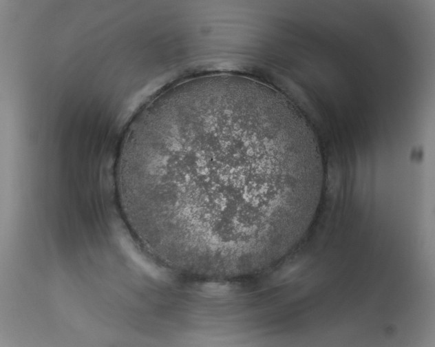 X0000114170394200910221655